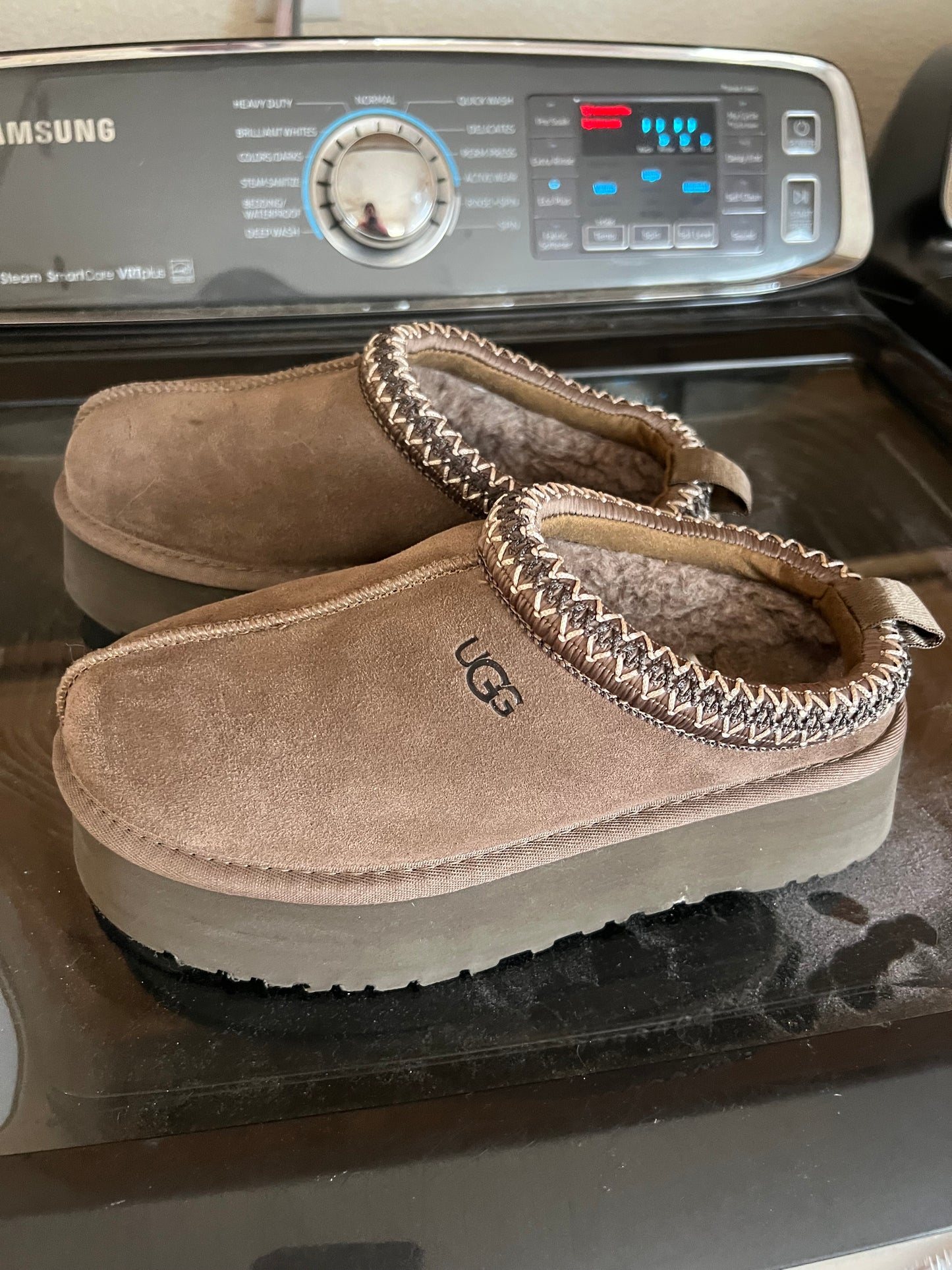 Uggs tazman