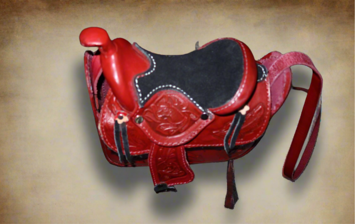 Saddle up Bag