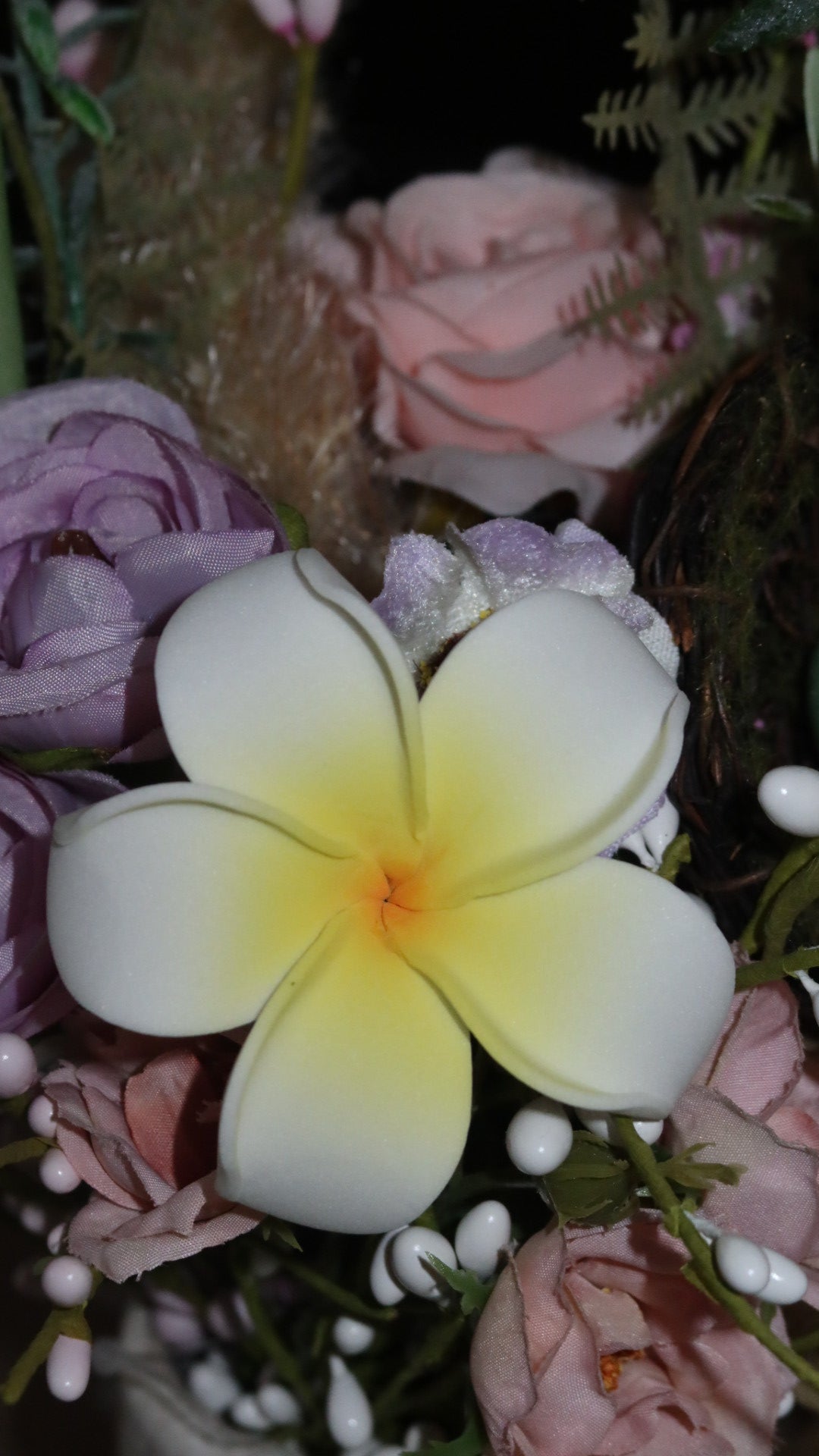 Plumeria flower with stem