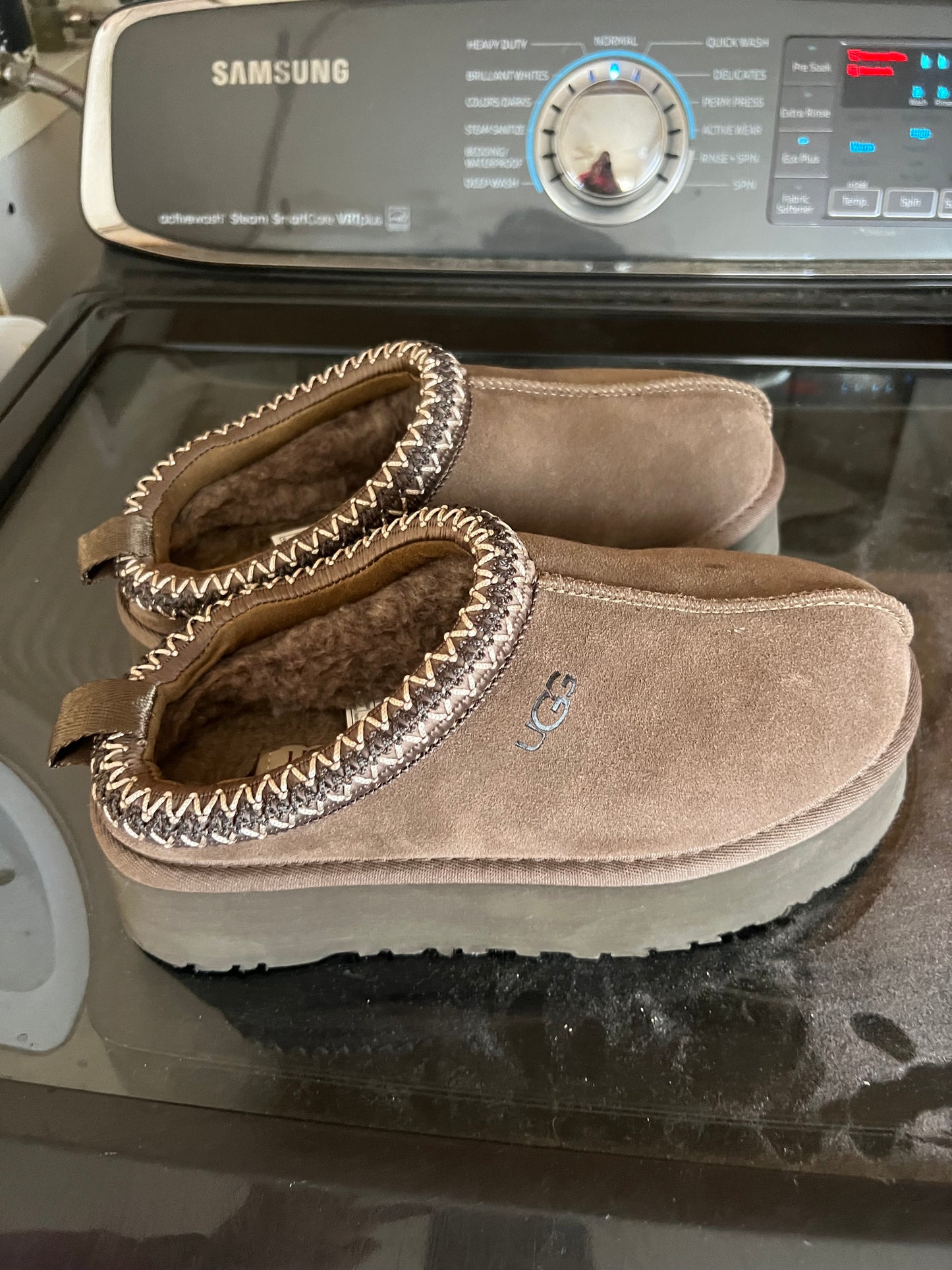 Uggs tazman