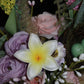 Plumeria flower