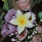 Plumeria flower