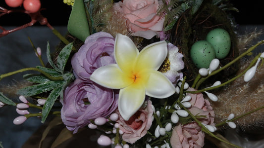 Plumeria flower