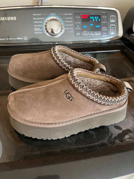 Uggs tazman