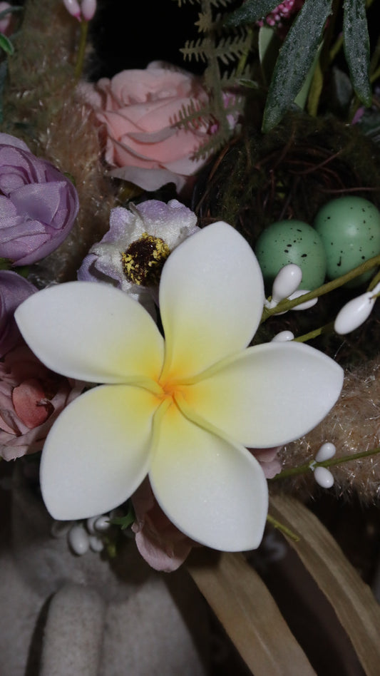 Plumeria flower