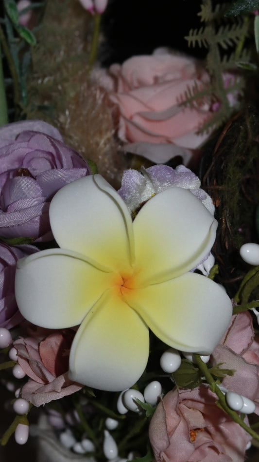 Plumeria flower with stem