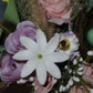 Tiare 2.5”